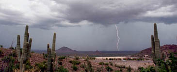 Thunderstorm in the desert.
